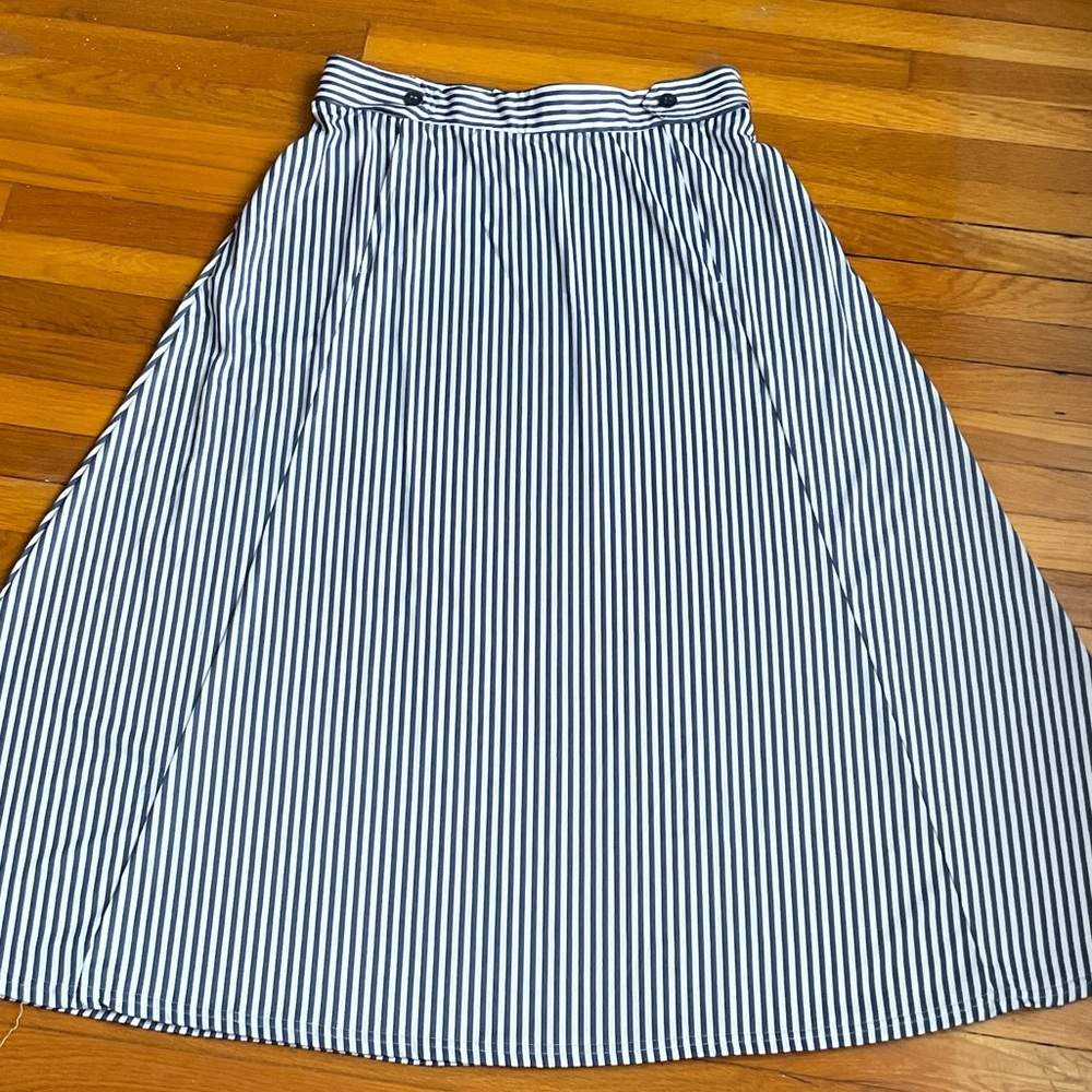 Robert Louis Striped A-Line Skirt in Blue and White